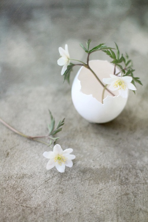 Easter egg as a vase by Stylizimo